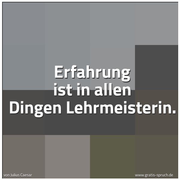 Quadratisches Spruchbild: Erfahrung ist in allen Dingen Lehrmeisterin.