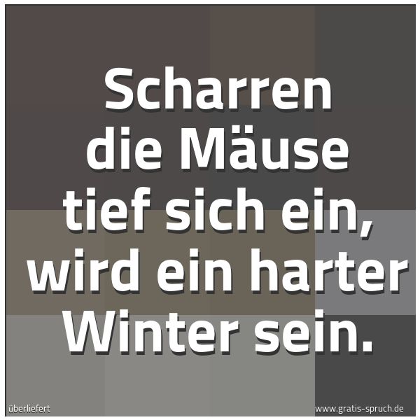 Quadratisches Spruchbild: Scharren die Mäuse tief sich ein, wird ein harter Winter sein.