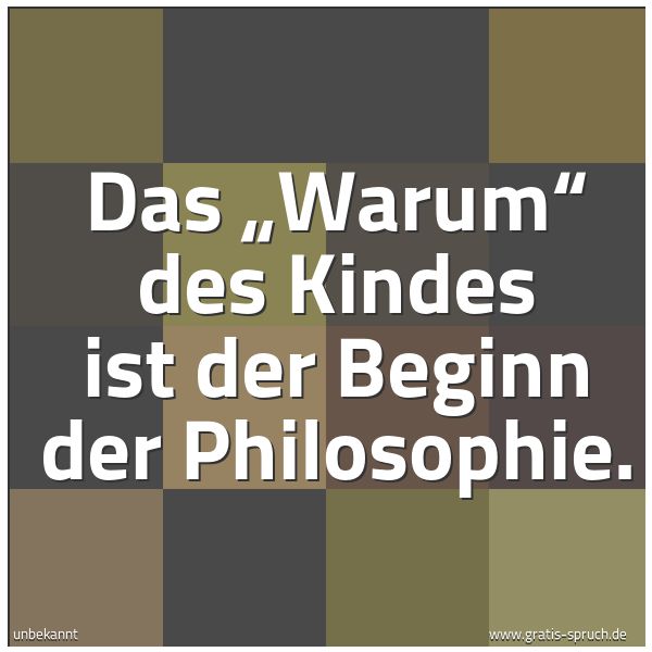 Quadratisches Spruchbild: Das „Warum“ des Kindes ist der Beginn der Philosophie.