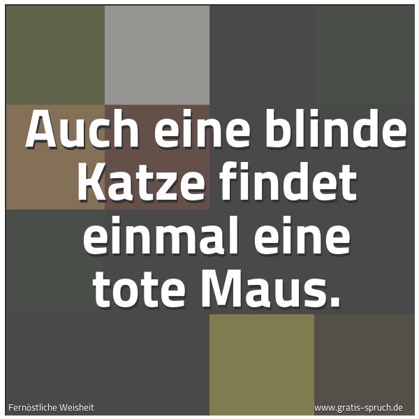 Quadratisches Spruchbild: Auch eine blinde Katze findet einmal eine tote Maus.