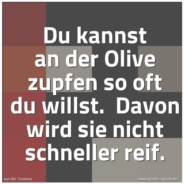 Quadratisches Spruchbild: Du kannst an der Olive zupfen so oft du willst.  Davon wird sie nicht schneller reif.