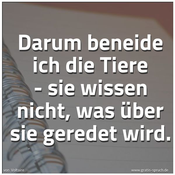 Quadratisches Spruchbild: Darum beneide ich die Tiere - sie wissen nicht, was über sie geredet wird.