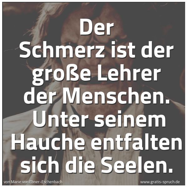 Quadratisches Spruchbild: Der Schmerz ist der große Lehrer der Menschen.  Unter seinem Hauche entfalten sich die See …