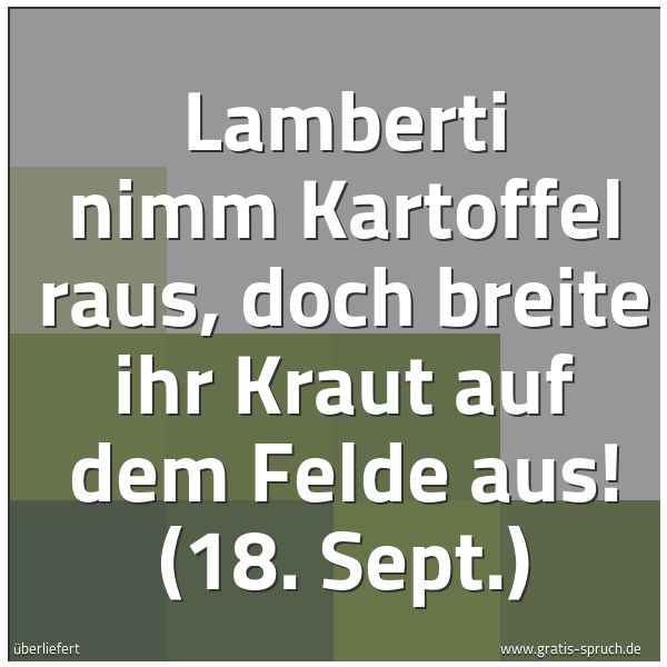 Quadratisches Spruchbild: Lamberti nimm Kartoffel raus, doch breite ihr Kraut auf dem Felde aus! (18. Sept.)